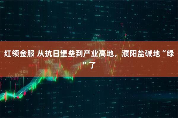 红领金服 从抗日堡垒到产业高地，濮阳盐碱地“绿”了