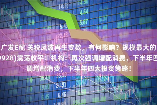 广发E配 关税风波再生变数，有何影响？规模最大的消费ETF(159928)震荡收平！机构：再次强调增配消费，下半年四大投资策略！